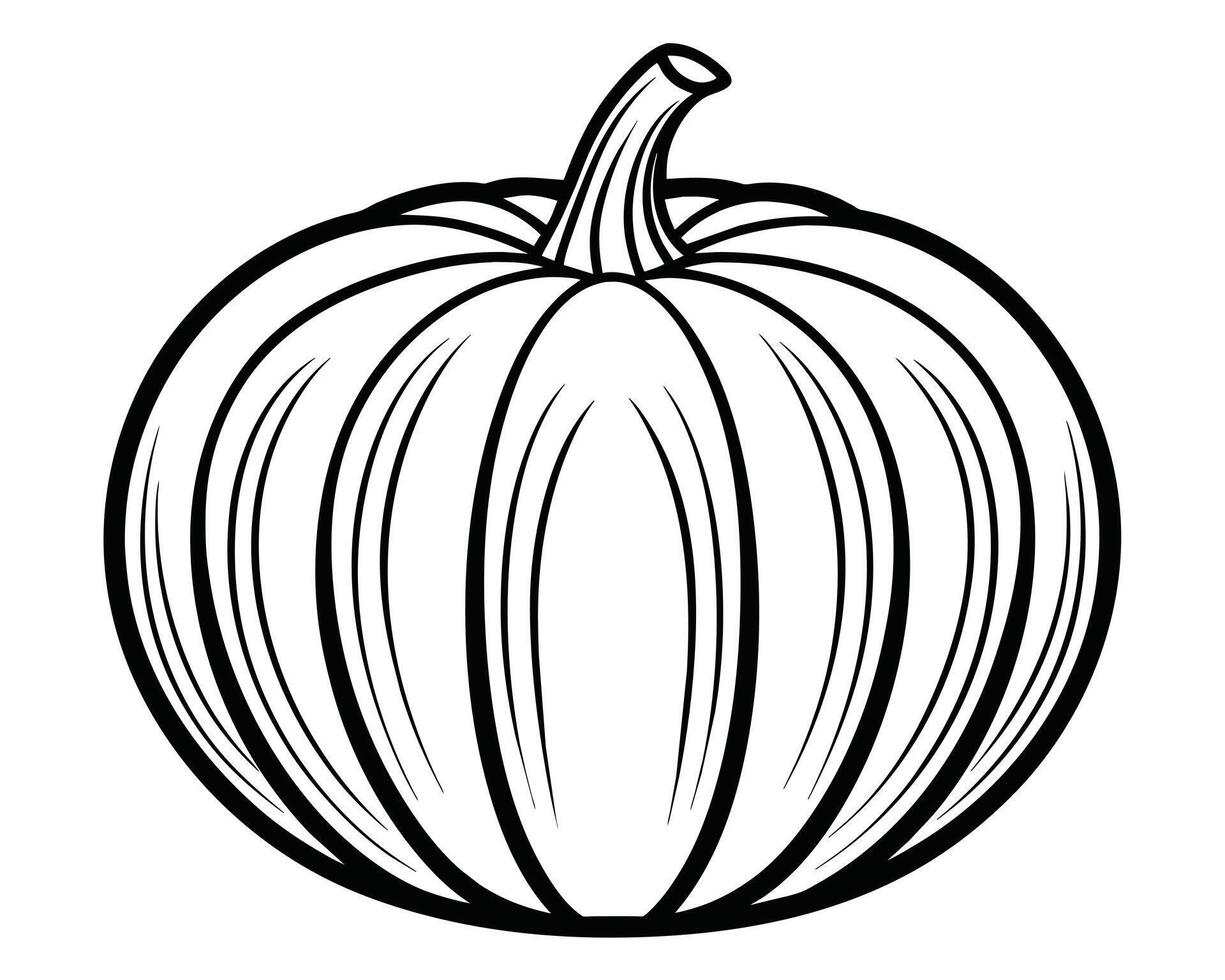 Black and white illustration of a pumpkin. vector