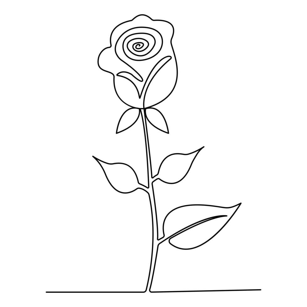 Rose continuous single line drawing with black and white background vector