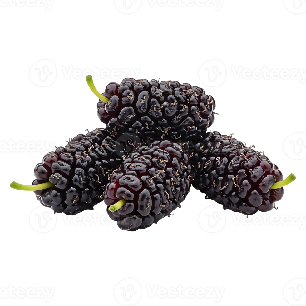 Mulberries Cluster Freshly Picked png
