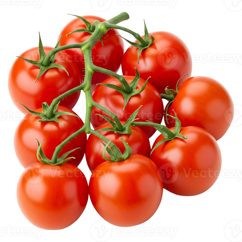 Juicy Vine Tomatoes Bunch png