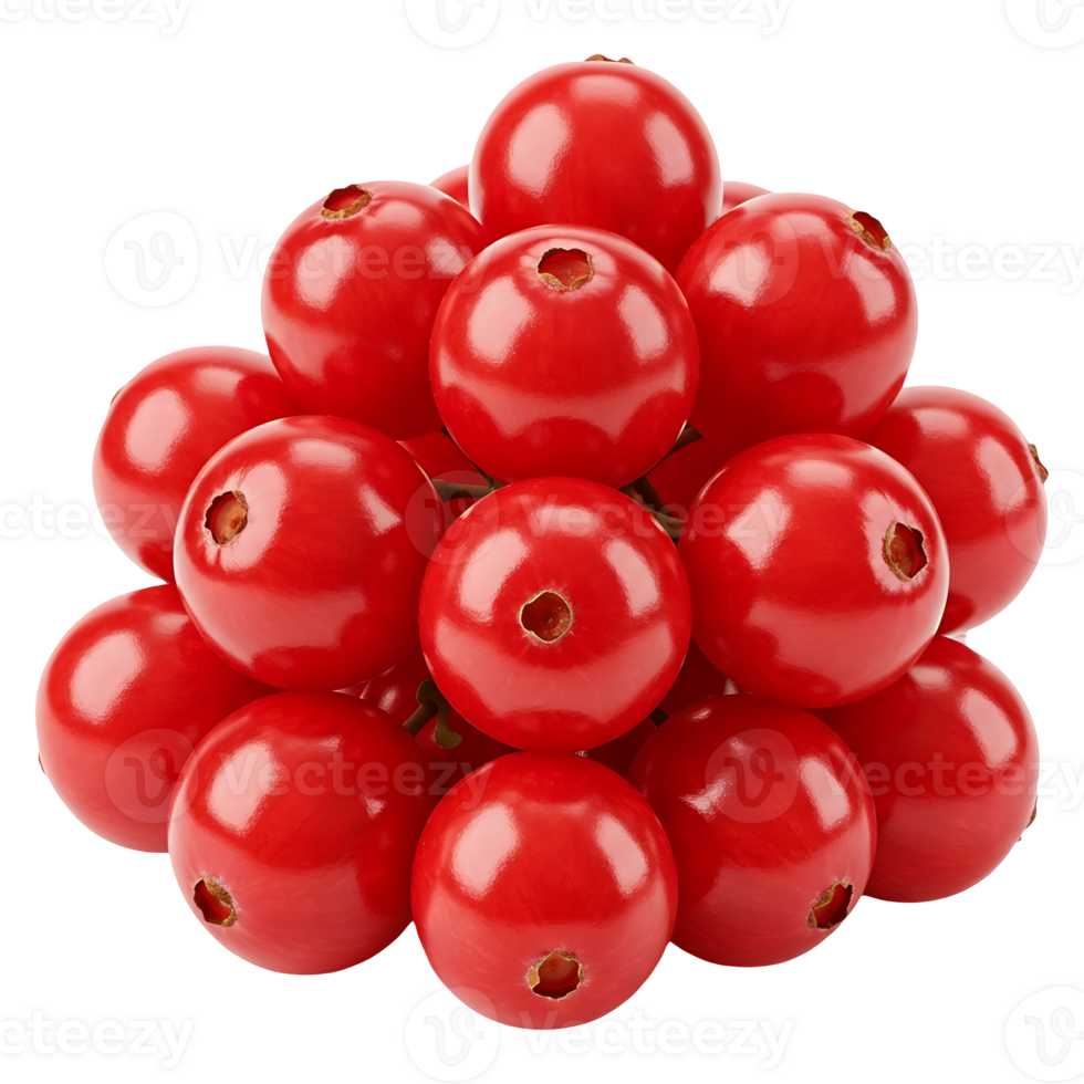 Fresh Red Currants Bunch png