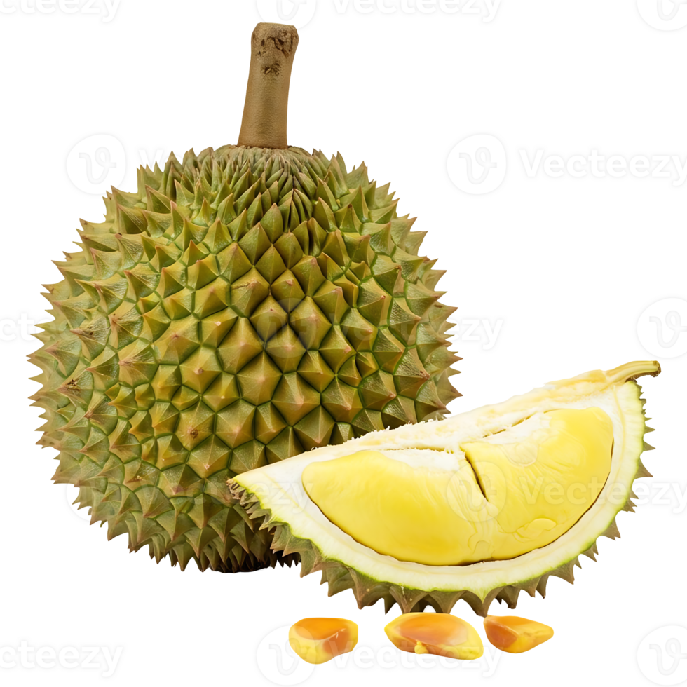 Durian Fruit Exotic Slice png