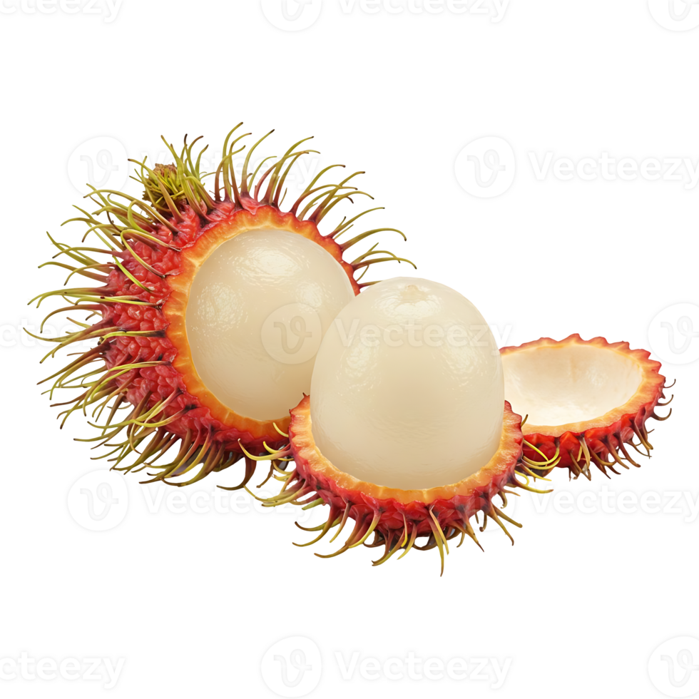 Fresh Rambutan Close up View png