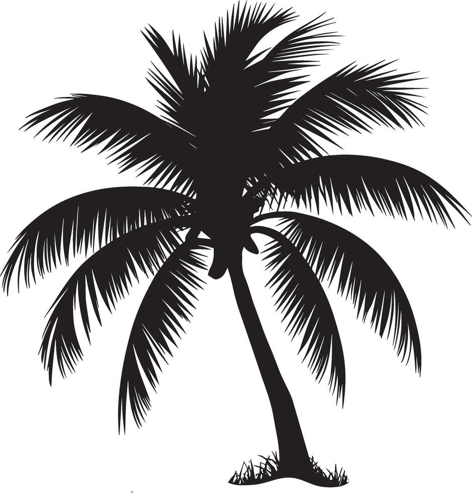 Coconut Plum Tree Silhouette Digital Palm Tree Design vector