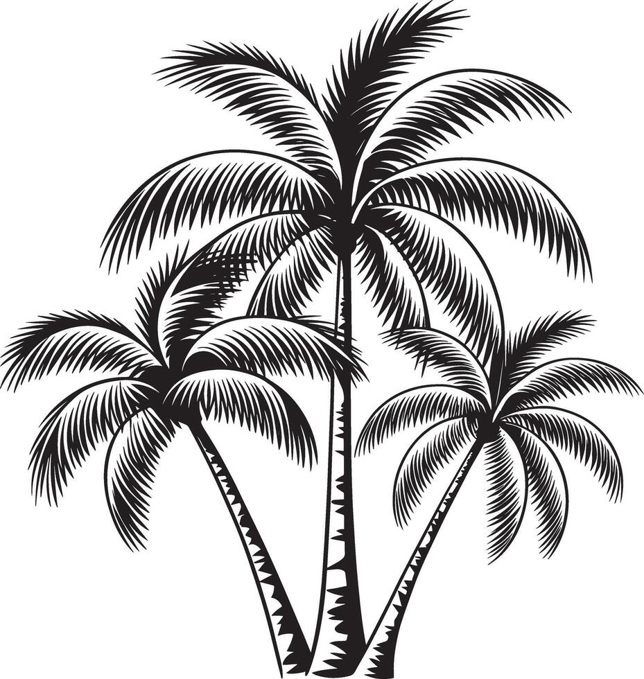 Coconut Plum Tree Silhouette Design High Quality Palm Art vector