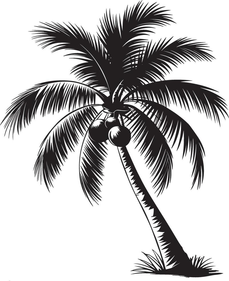 Coconut Plum Tree Silhouette Download Palm Clipart vector