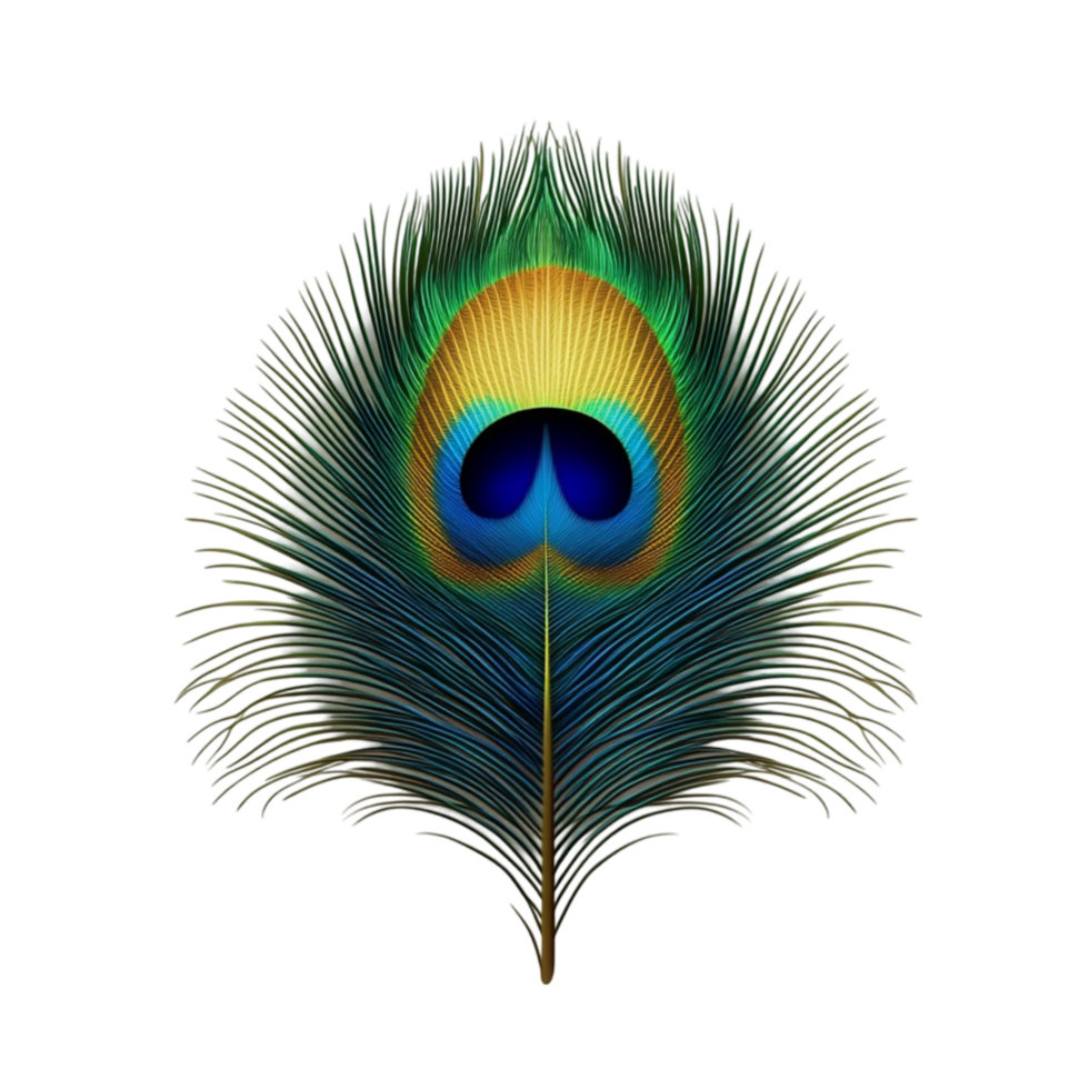 Isolated Peacock Feather png