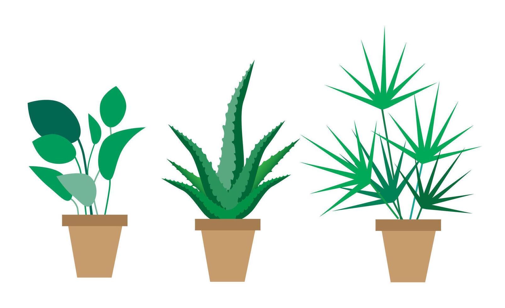 A set of flowerpots with indoor plants on a white background. Ficus, aloe and palm vector