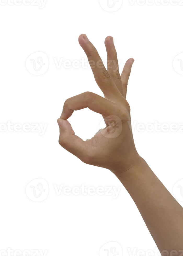 Close up Asian female hand show pinch gesture made Ok sign finger arm and hand isolated copy space symbol language okay png