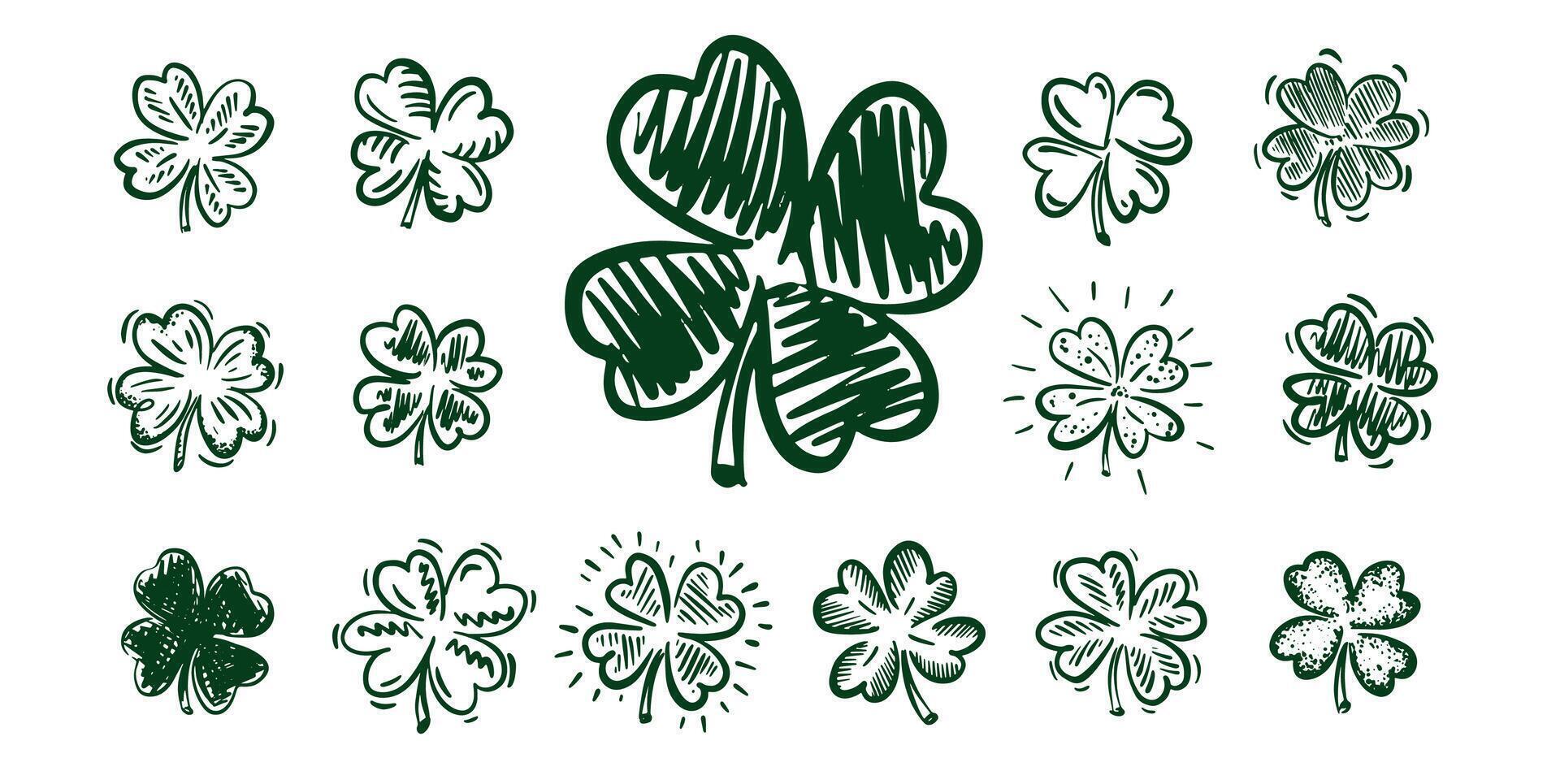 Clover set on white, Patricks Day, hand drawn illustrations. vector