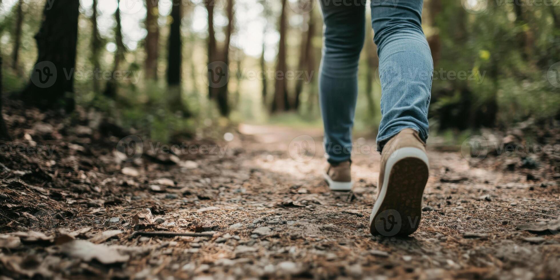 Taking a leisurely stroll along a peaceful and serene path through a beautiful forest grove photo