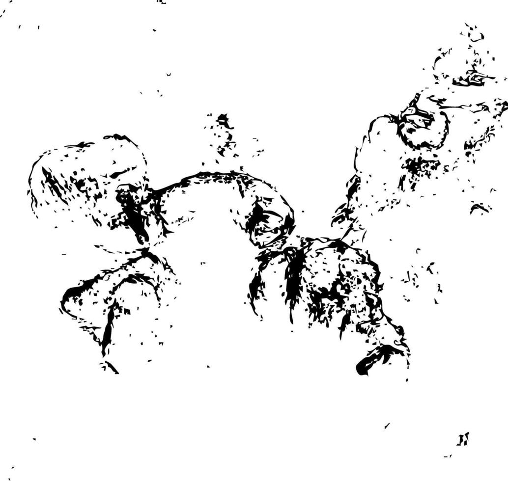 Weathered surface showing natural aging pattern vector