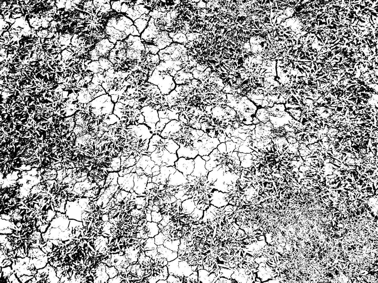 Dirty and distressed texture vector