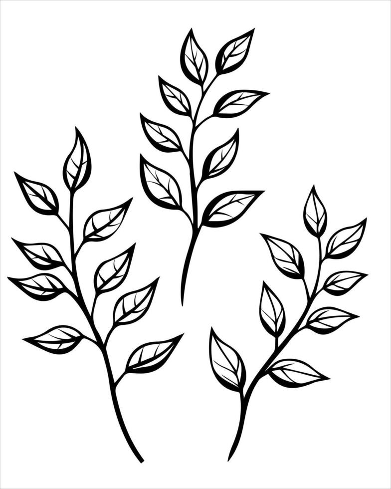set of black silhouettes of plant branches with leaves vector