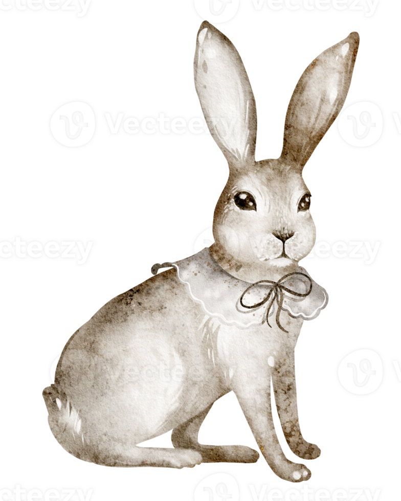 Bunny cute Watercolor illustration. Hand drawn artwork of a cute rabbit. Drawing of rabbit for childish greeting cards or baby shower invitations. Sketch hare on isolated background. png