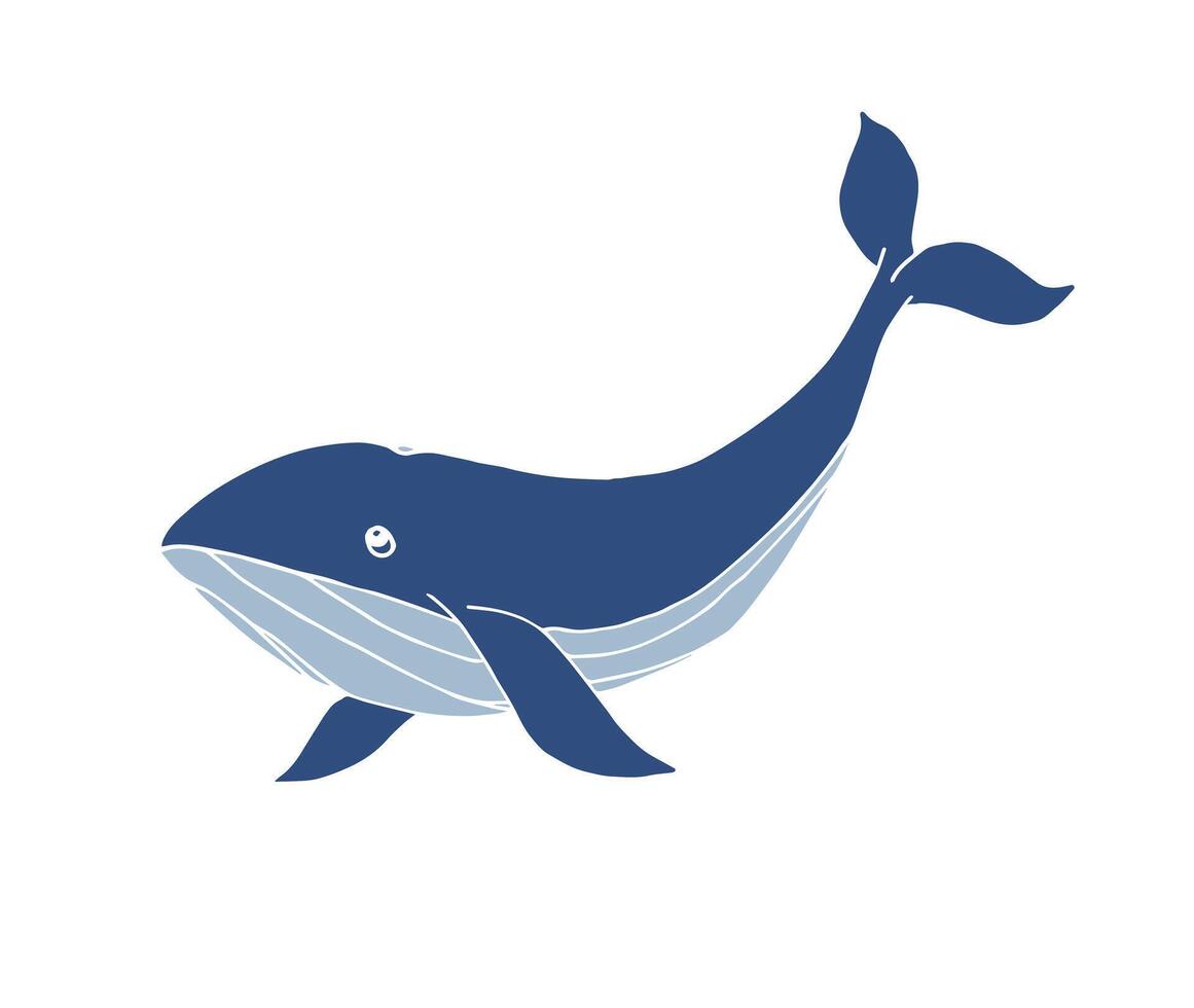 Hand drawn doodle sketch whale isolated on white background vector