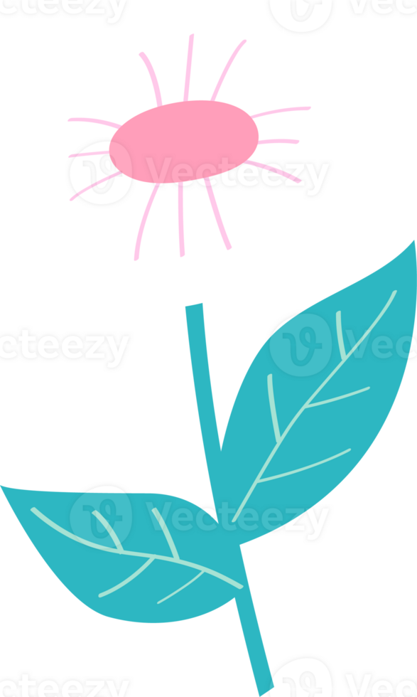flower of sping in this year png