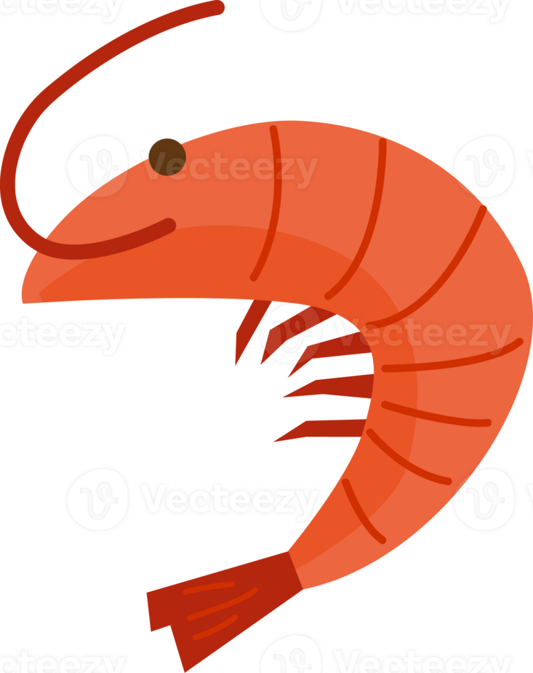 a cute orange prawn png
