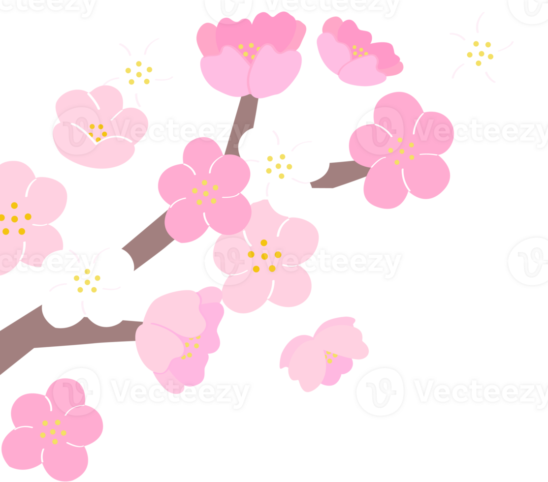 a blossom tree of spring png