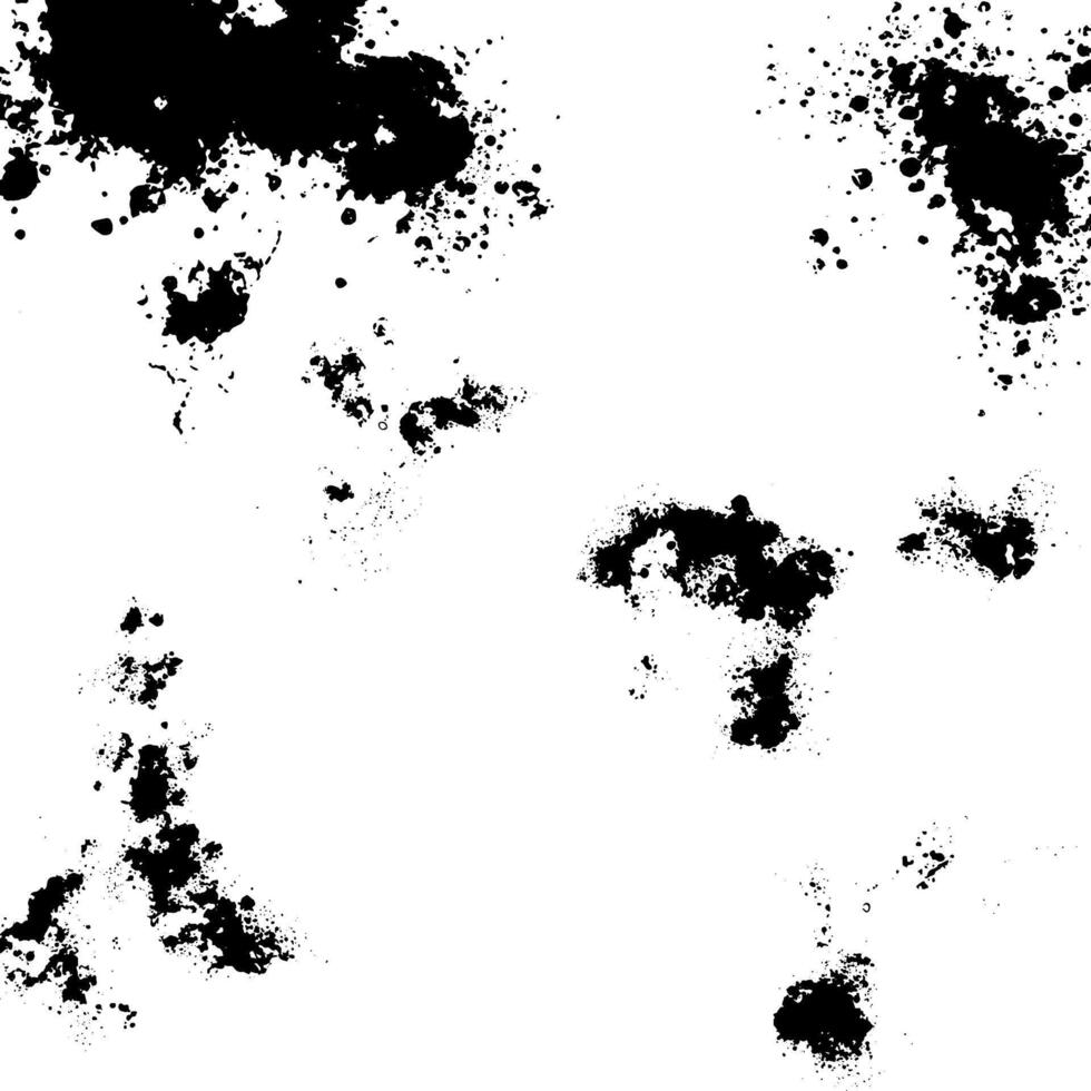black and white grunge paint. splatters on a white background vector