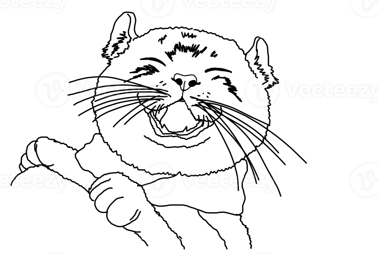 Adorable Cat Outline for a Fun Coloring Activity png