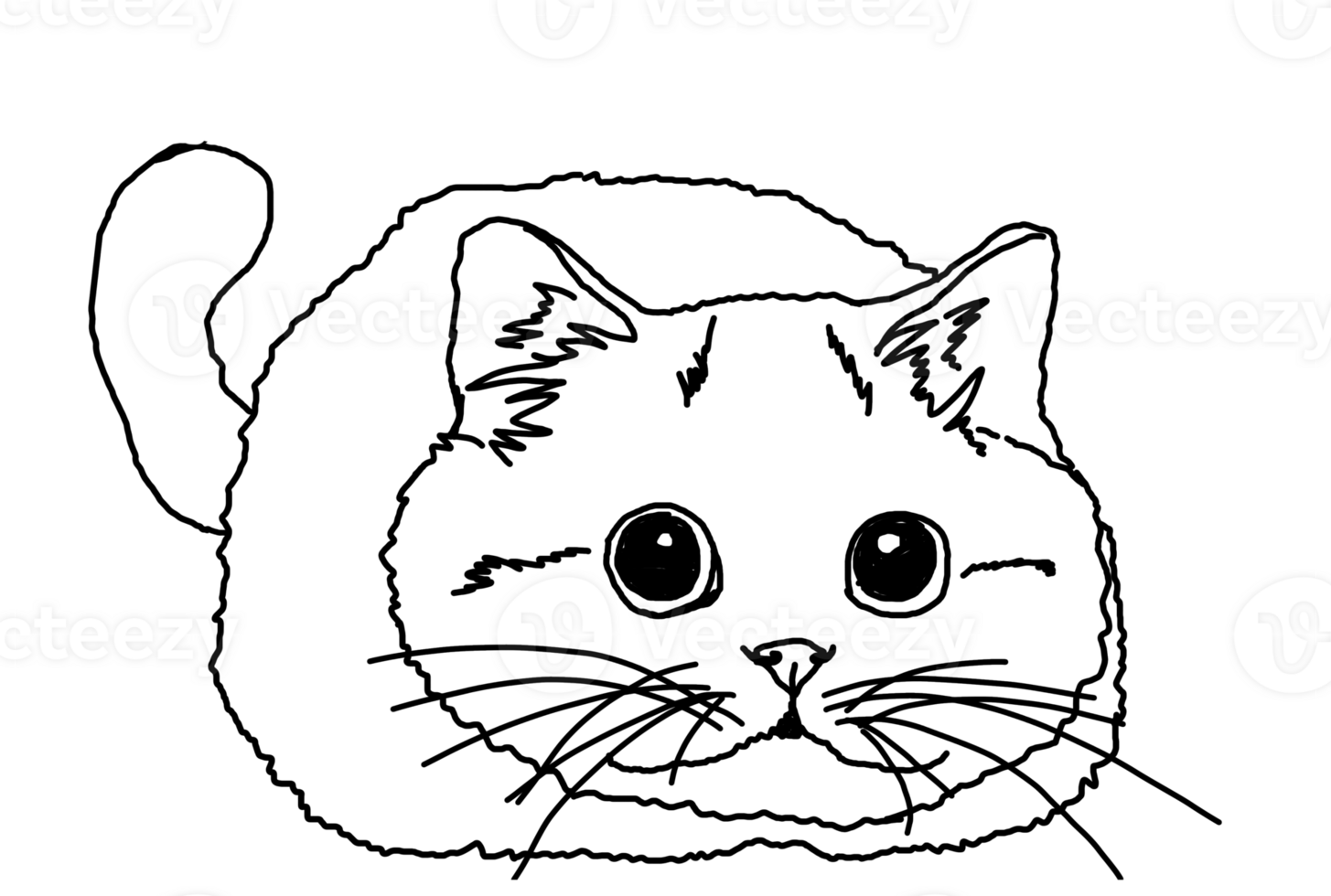 Adorable Cat Sketch to Color and Enjoy png