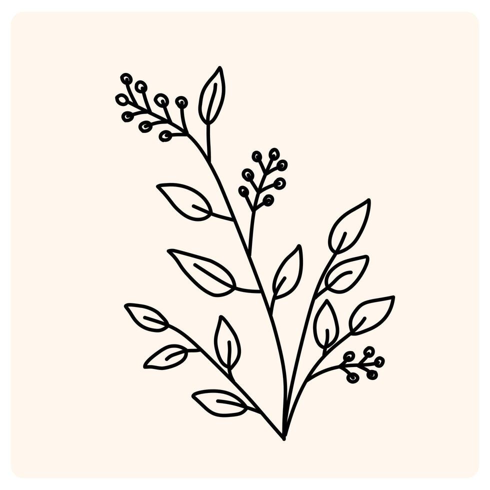 Hand drawn wild field flora, flowers, leaves, herbs, plants, branches. Minimal floral botanical line art vector