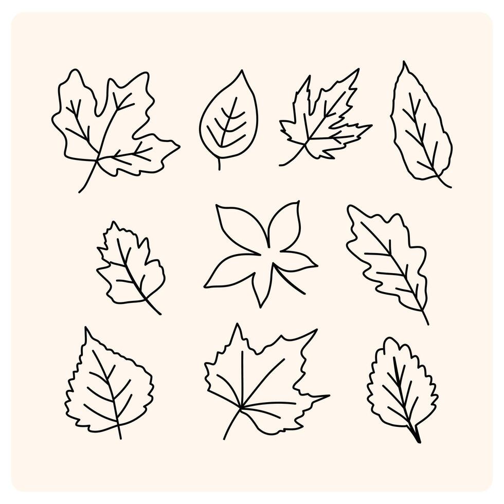 Collection Autumn Leaves In doodle Style Drawing vector