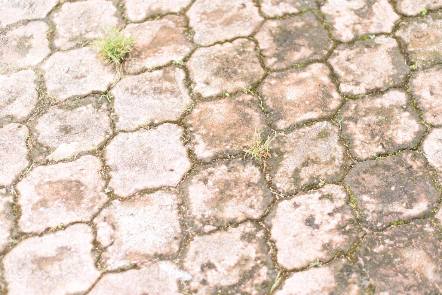 Weathered Stone Pavement with Grass photo