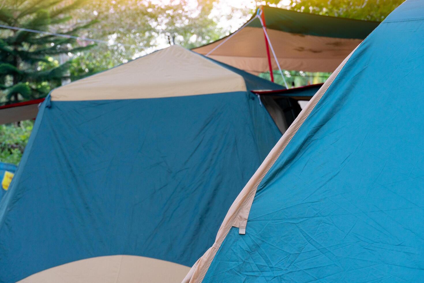 Group of light green and orange tents that blend in with nature are lined up. Background blurred of trees. photo