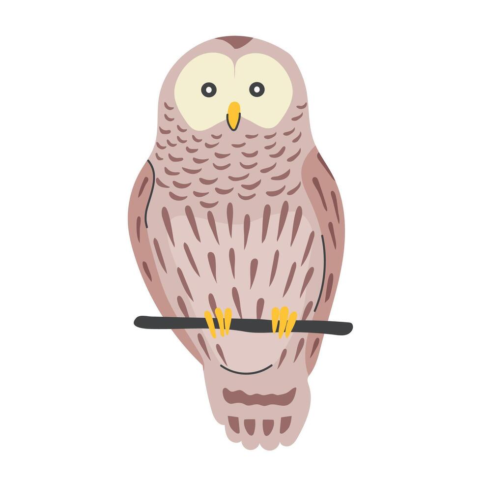 Barred owl icon clipart avatar logotype isolated illustration vector