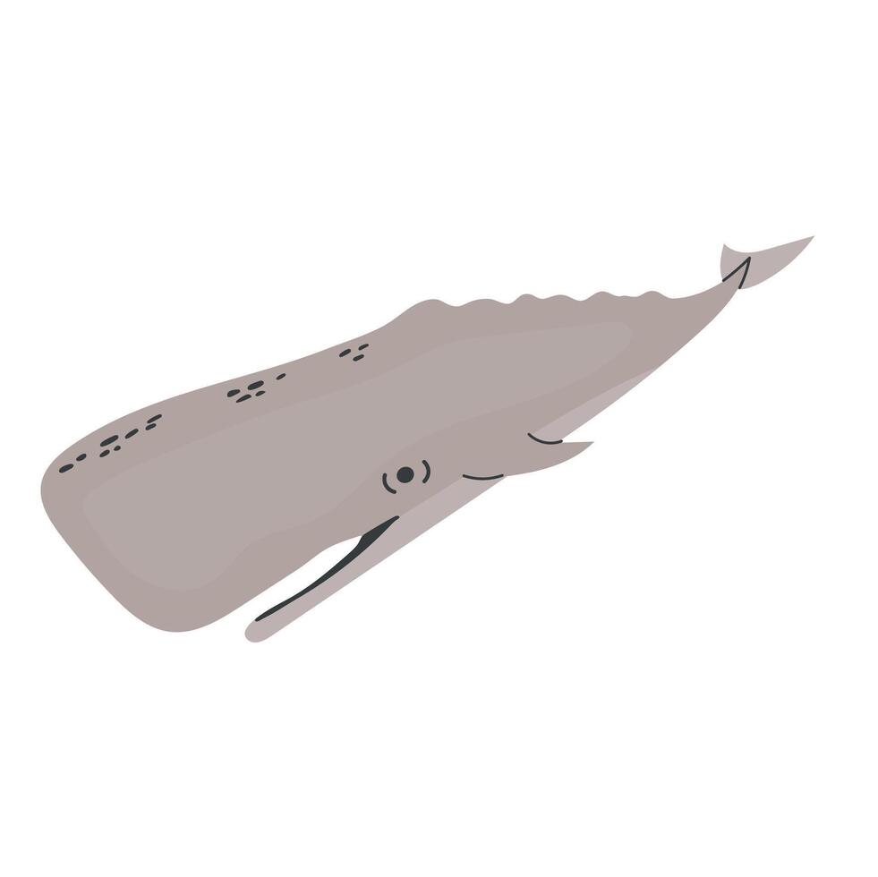 Sperm whale icon clipart avatar logotype isolated illustration vector