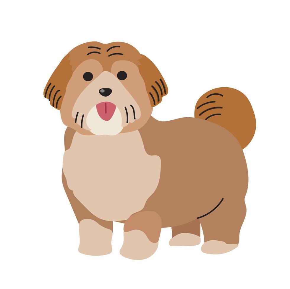 Havanese icon clipart avatar logotype concepte isolated illustration vector