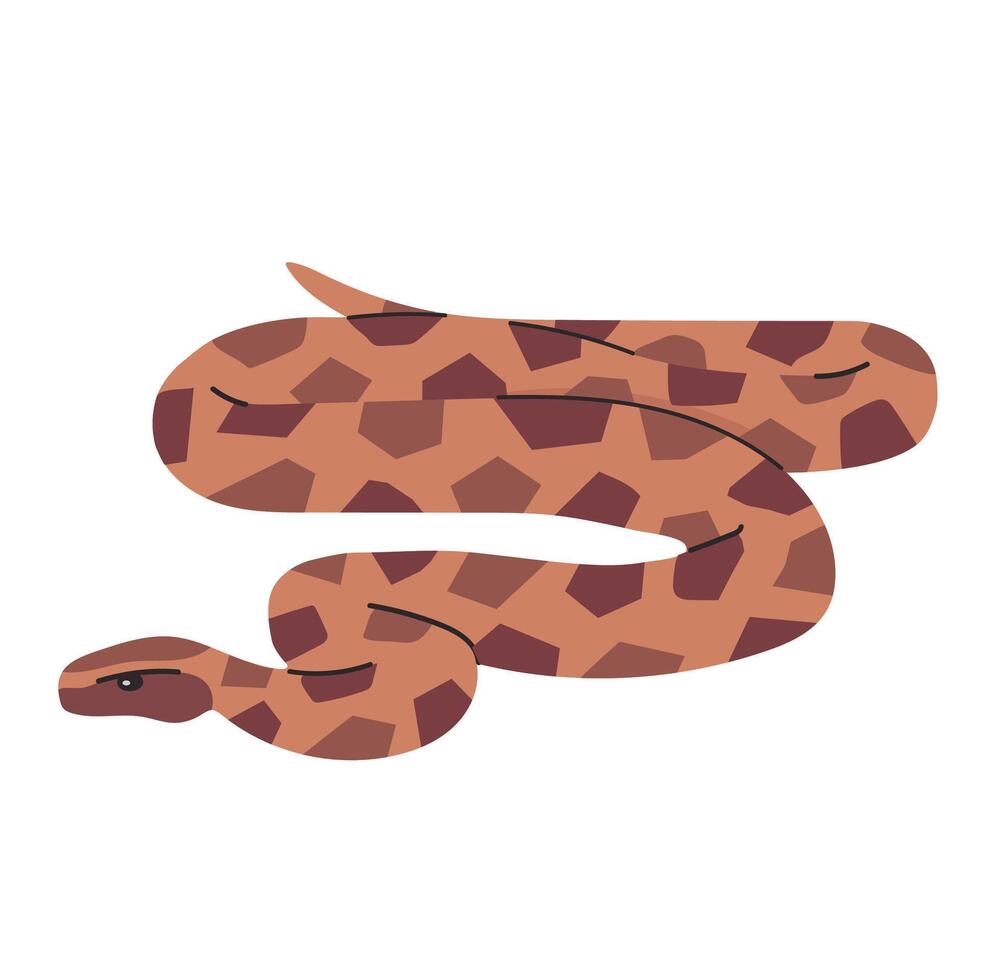 Burmese python icon clipart avatar logotype isolated illustration vector