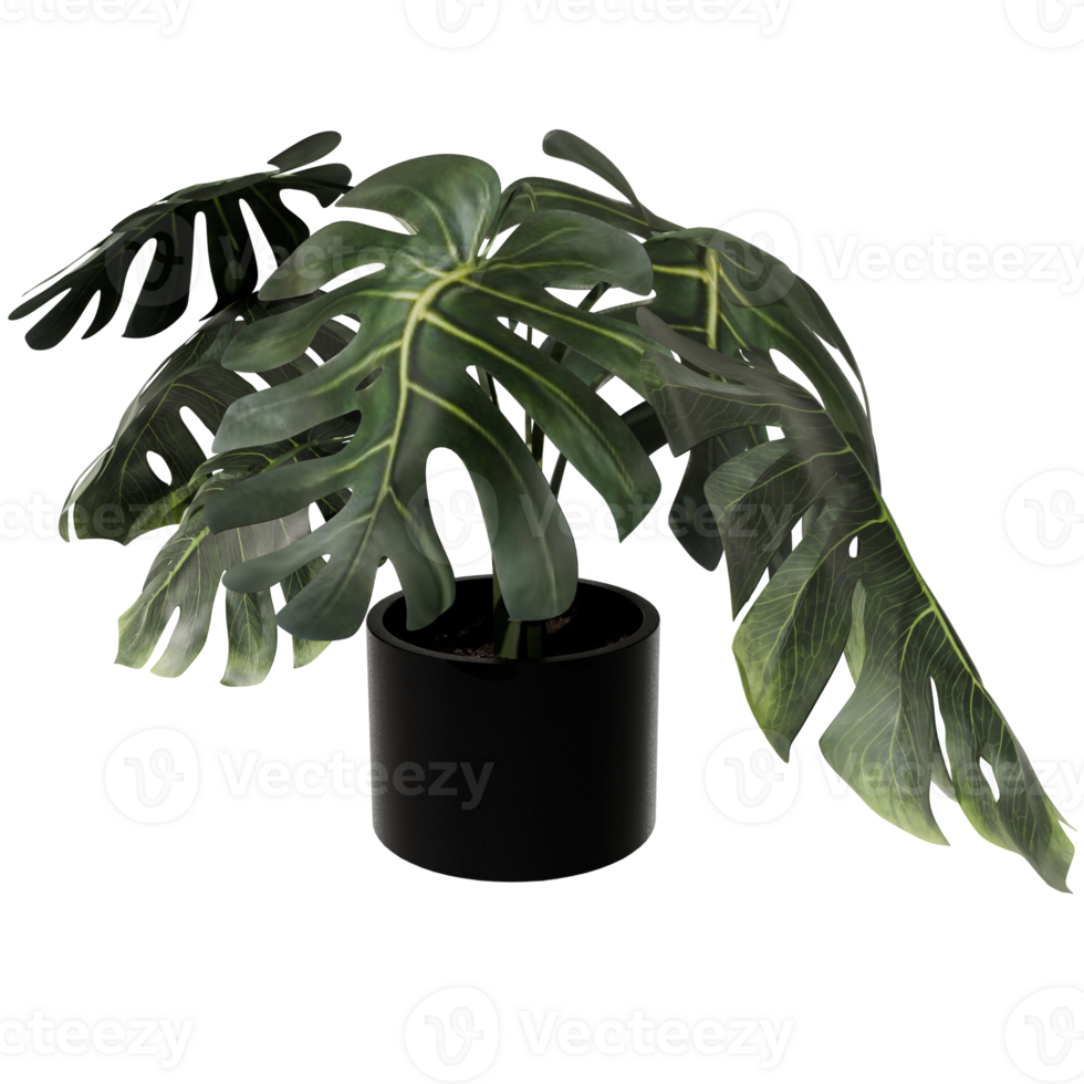 3d potted plant with green leaves on a transparent background png