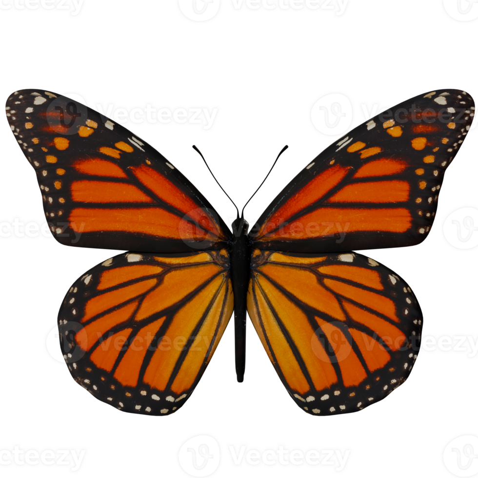 A monarch butterfly is shown on a transparent background png