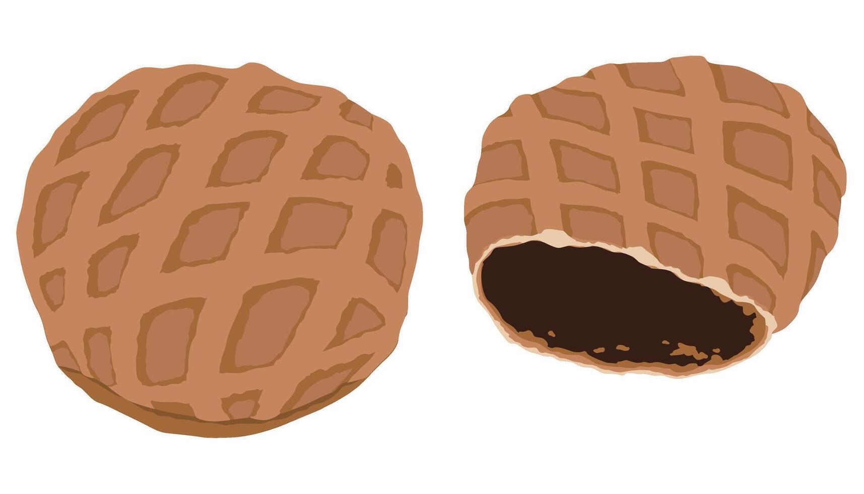 Kleicha and kleicha cut into halves. vector
