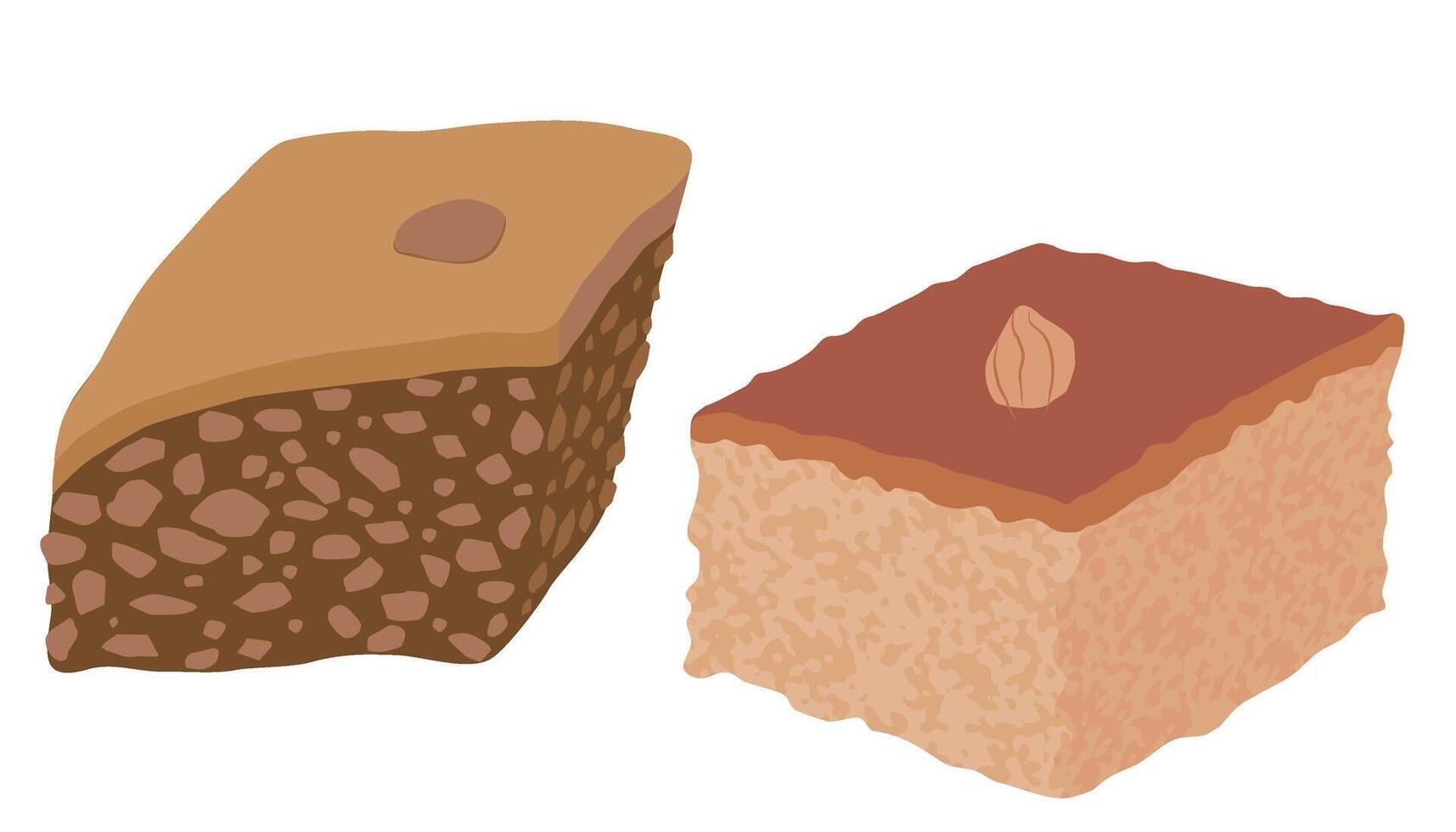 Two different flavors of basbousa cut into pieces. vector