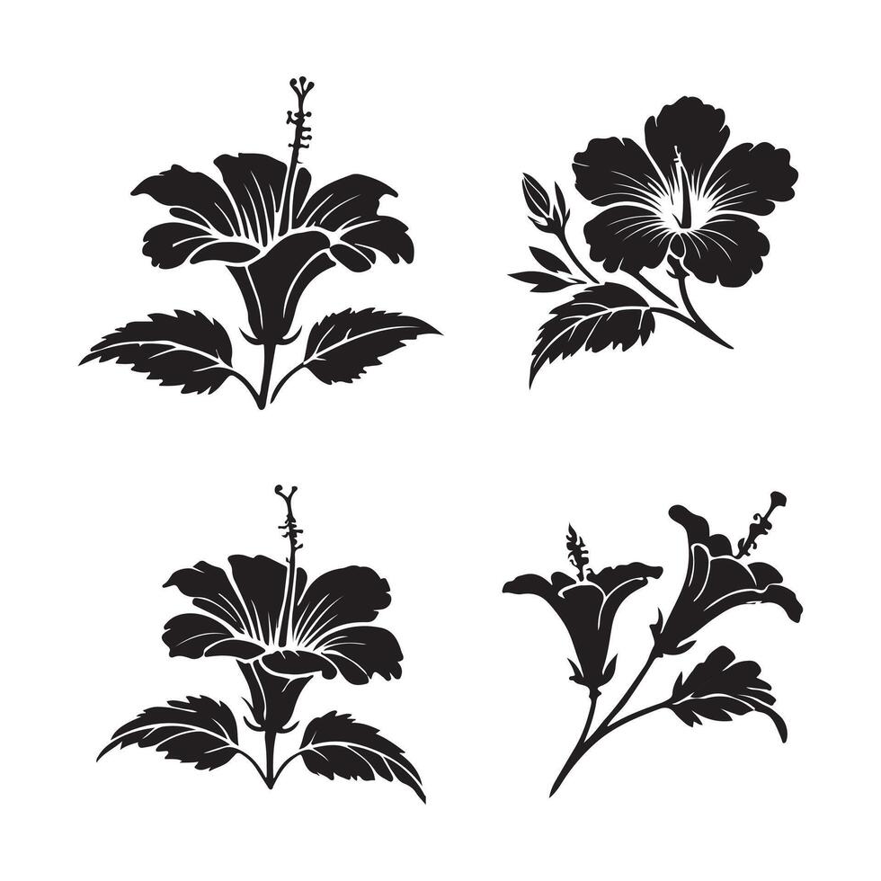 hibiscus flower illustration vector