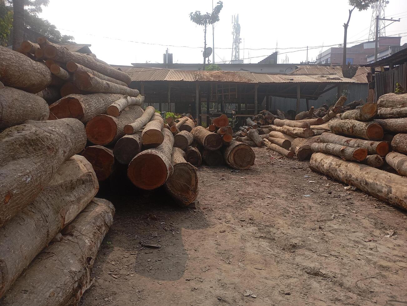 a pile of logs in a dirt area photo