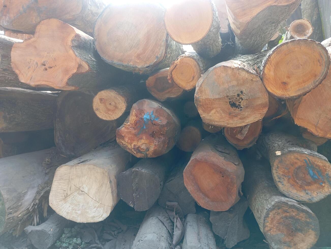 a pile of logs that photo