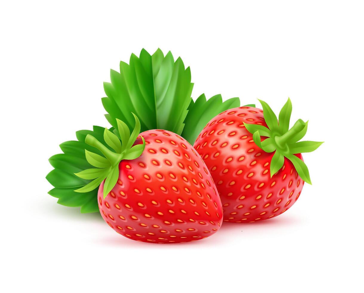 3d realistic raw strawberry fruit with leaves vector