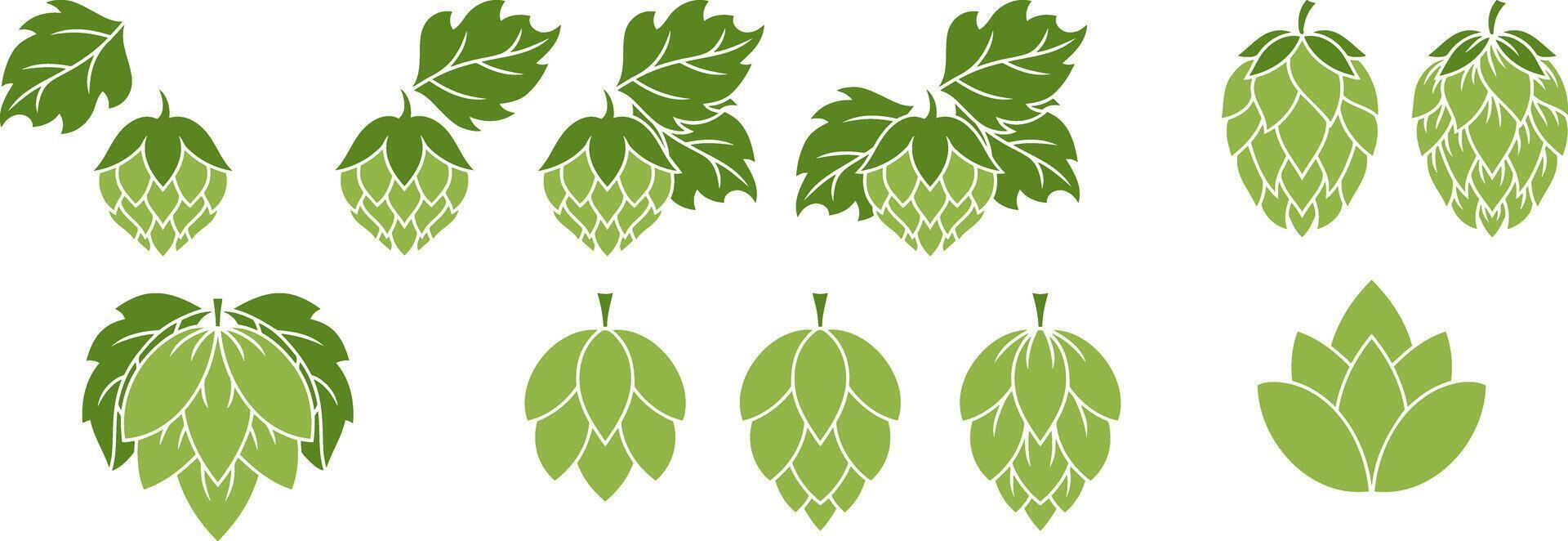 Green Hop cone with leaves Element for logo restaurant craft beer pub brewery vector
