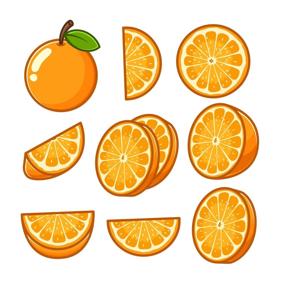 a variety of oranges cut into shapes and arranged in different positions vector