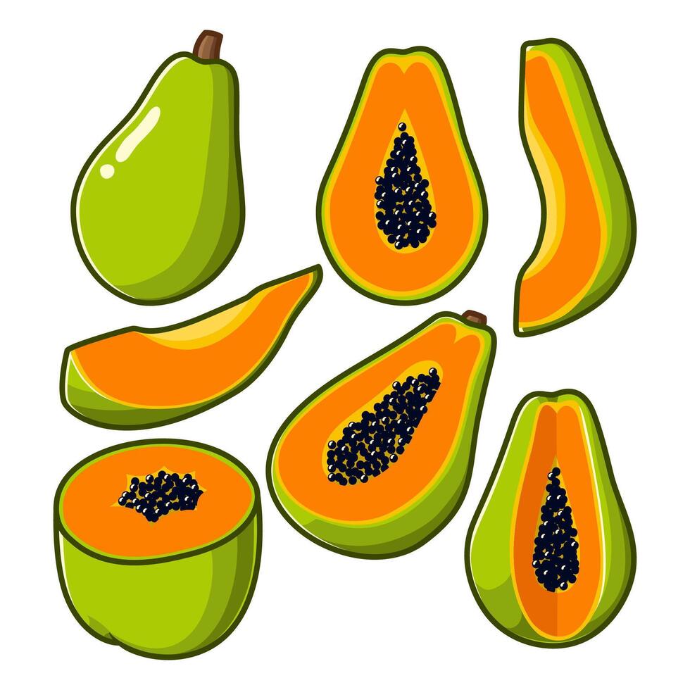 Several papaya in different positions, along with some cut into various pieces. vector