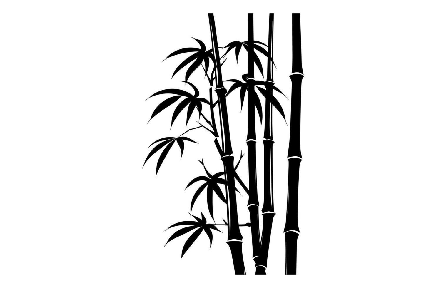 Tropical Bamboo Silhouette vector