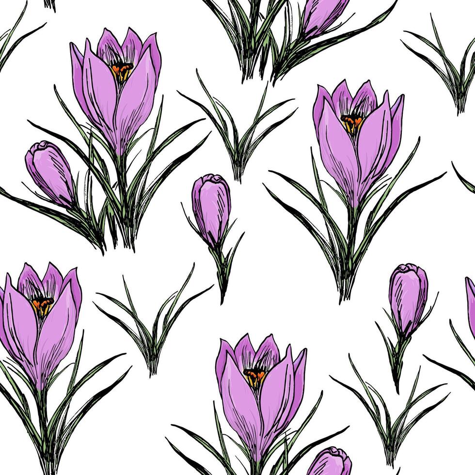 Seamless Floral Pattern With Painted Crocuses vector