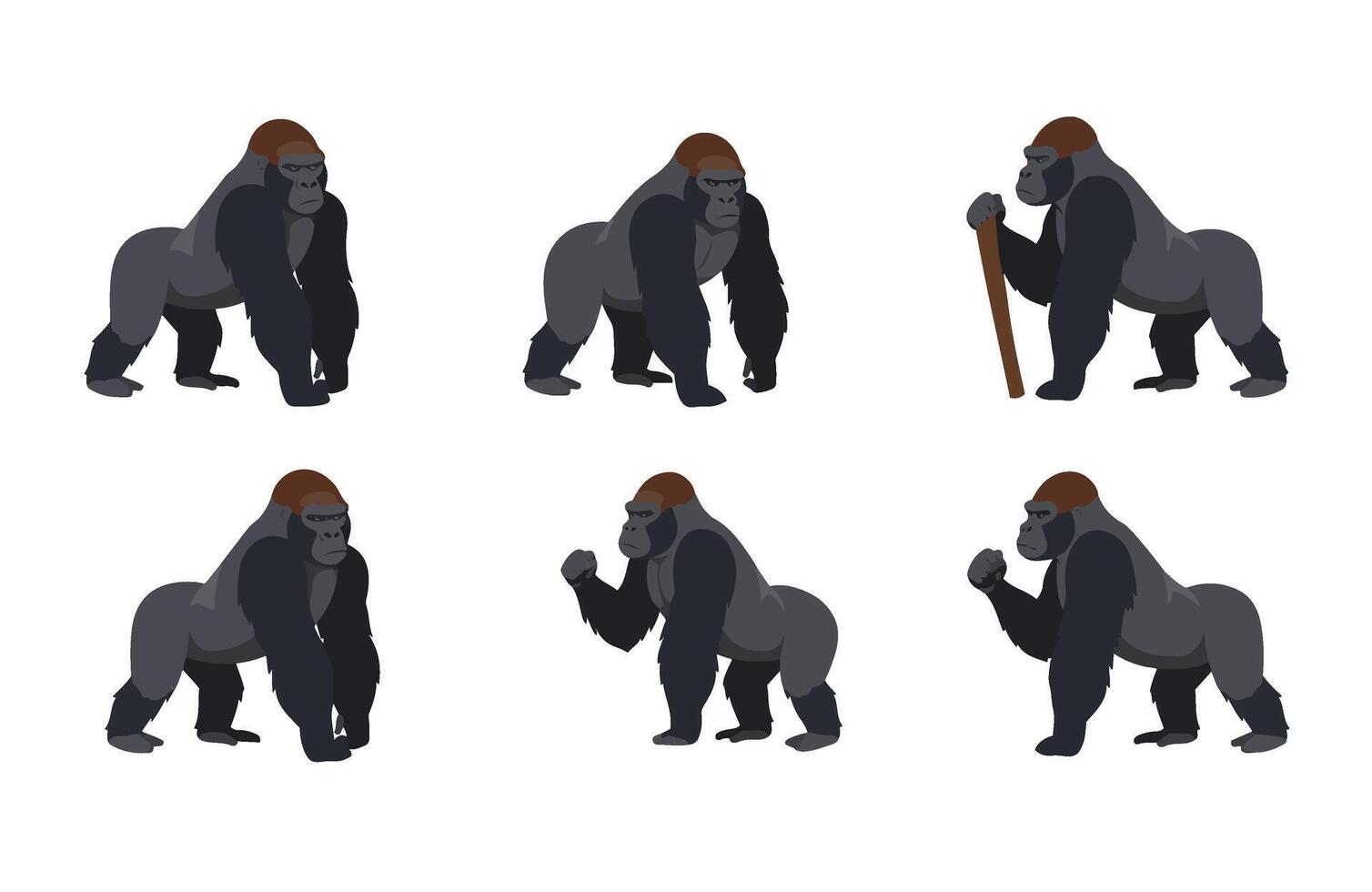 Wildlife Illustration Gorilla Animal Shadows Art vector