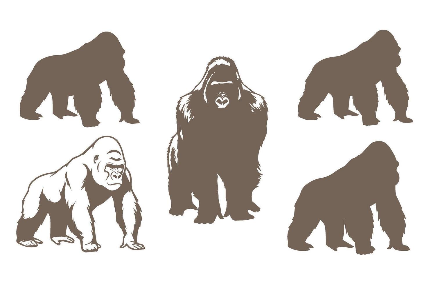 Gorilla Collection Illustration Shadows Animal Artwork vector
