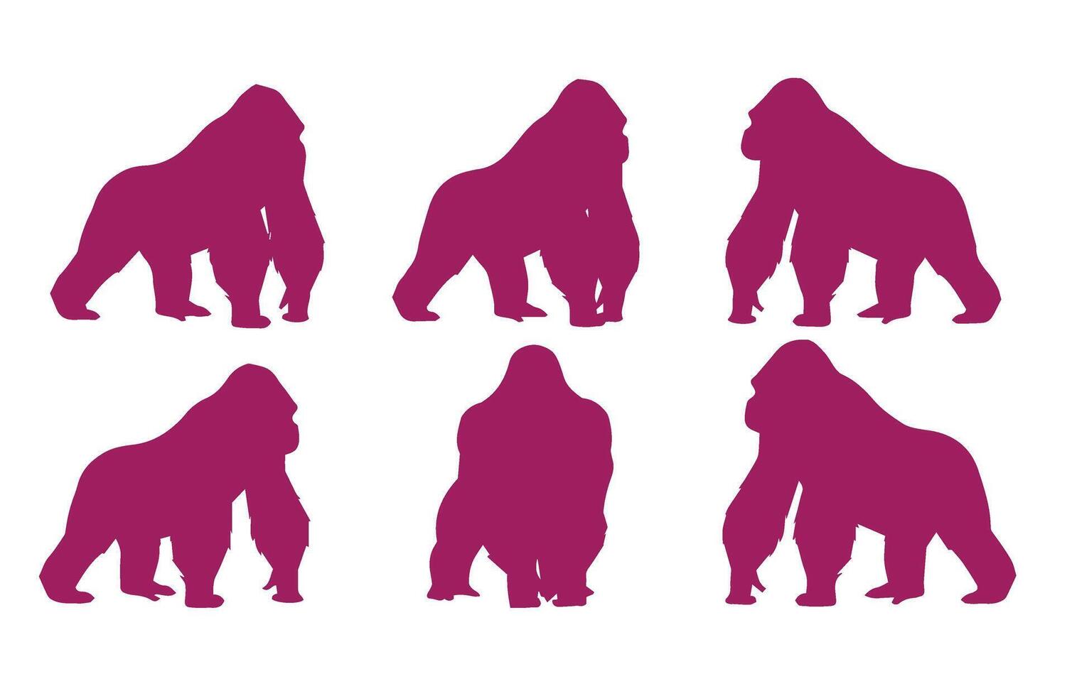 Gorilla Wild Animal Shadows Illustration Style vector
